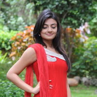 Nikitha Narayan New Pictures | Picture 68835